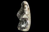Polished Septarian Geode Sculpture - Black Crystals #99449-1